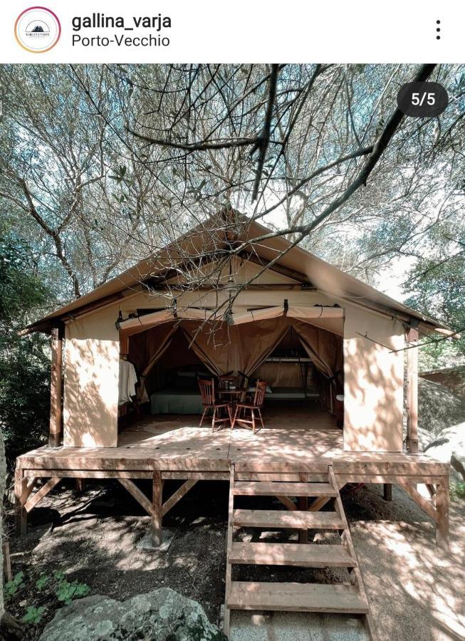 Camping Gallina Varja Сотта Экстерьер фото
