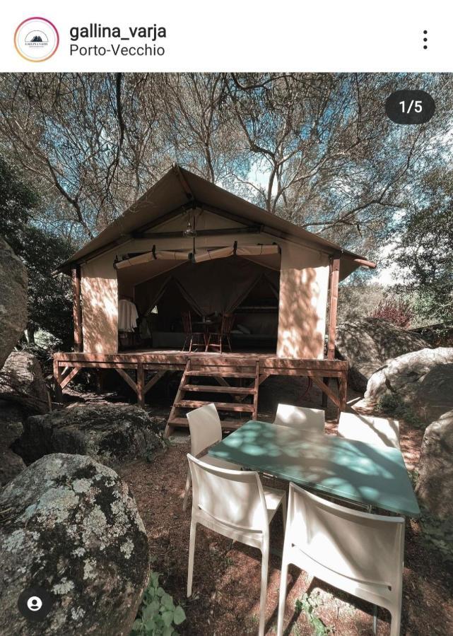 Camping Gallina Varja Сотта Экстерьер фото